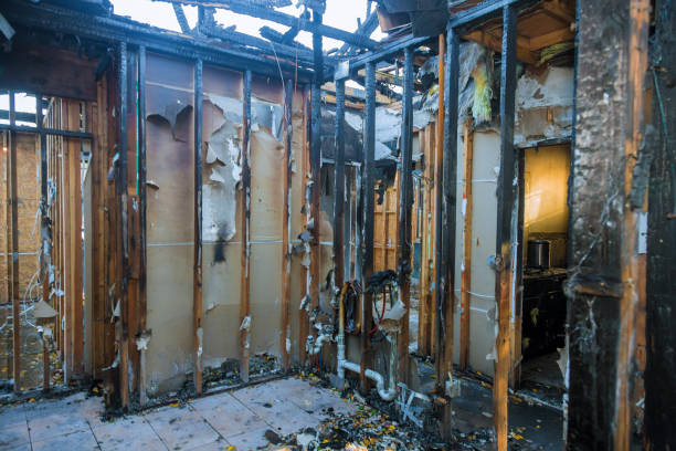 Professional Fire Damage Removal technician working in Frackville, PA